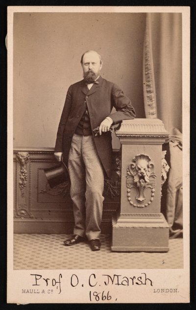 Ritratto di Othniel Charles Marsh da Maull and Co
