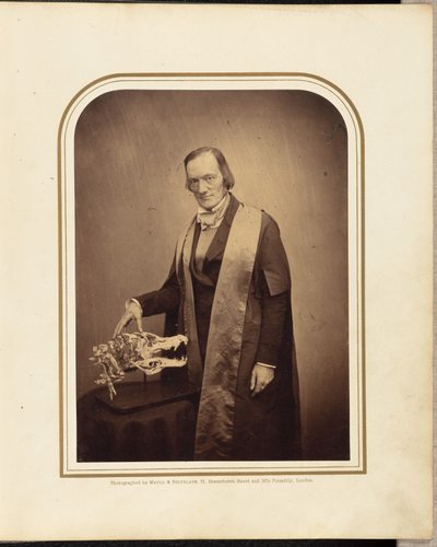 Professor Owen, F.R.S. da Maull and Polyblank