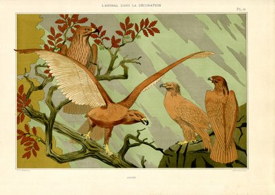 Aquile in rappresentazione naturalistica Art Nouveau (litografia) da Maurice Pillard Verneuil