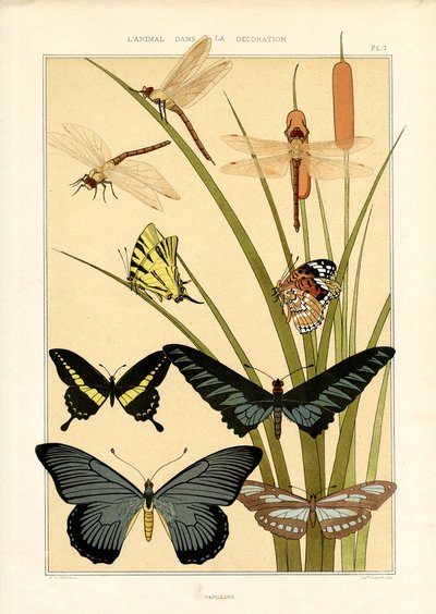  da Maurice Pillard Verneuil