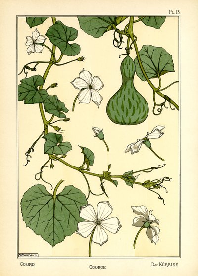 La zucca da Maurice Pillard Verneuil
