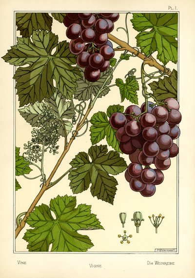 La vite da Maurice Pillard Verneuil