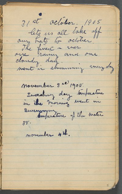 Quaderno degli schizzi, pagina 005: Note da Maurice Prendergast