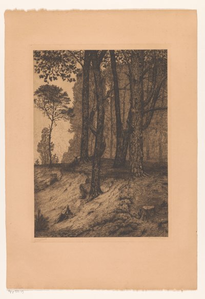 Bordo del bosco da Maurits van der Valk (signed by artist)