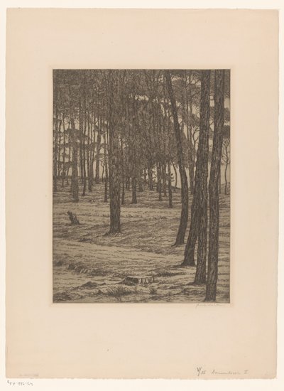 Bosco di pini I da Maurits van der Valk (signed by artist)