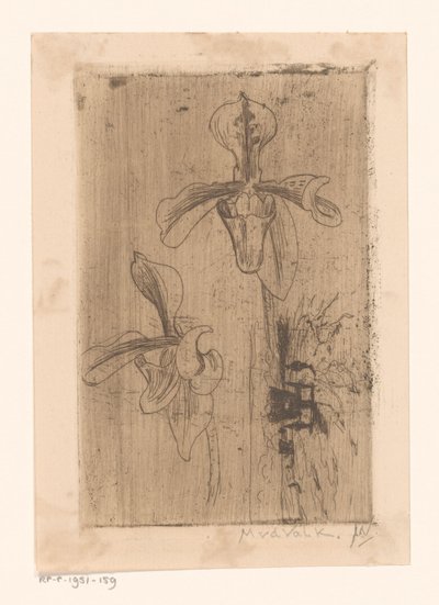 Due orchidee e un carro sulla spiaggia da Maurits van der Valk (signed by artist)