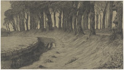 Alberi lungo una strada su un argine o muro da Maurits van der Valk