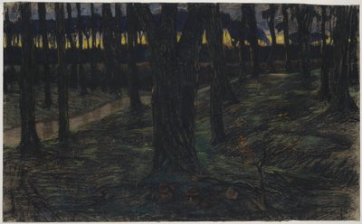 Veduta del bosco al tramonto da Maurits van der Valk