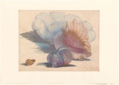 Tre conchiglie vicino a un piatto pieghettato di Delft da Maurits van der Valk
