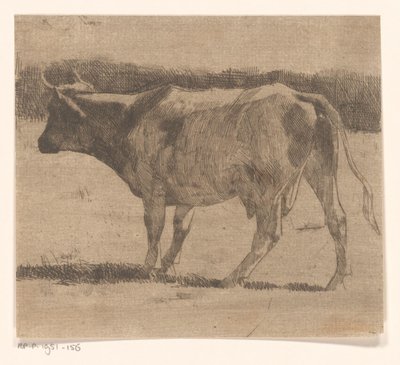 Mucca in un prato da Maurits van der Valk