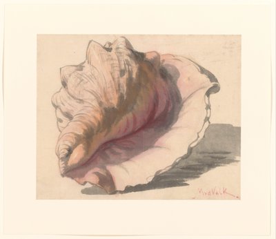 Conchiglia da Maurits van der Valk