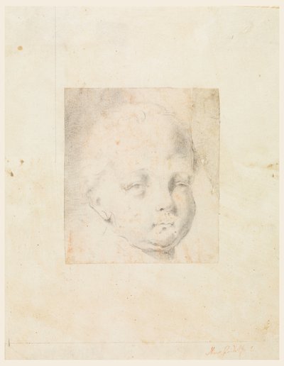Disegno, studio: Testa di ragazzo, 1810-34 da Mauro Gandolfi