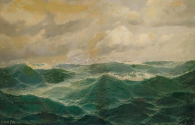 Gabbiani sopra il mare agitato da Max Jensen