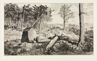 Simplicius nella solitudine della foresta (Intermezzi, Opus IV, tavola 10) da Max Klinger
