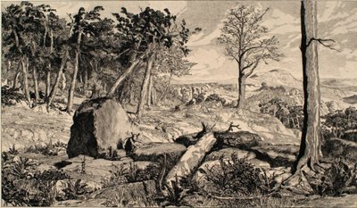 Simplicius nella solitudine della foresta da Max Klinger