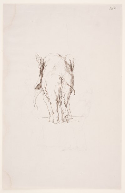 Weg der Befleckung - Elefante e cane annusante da Max Klinger