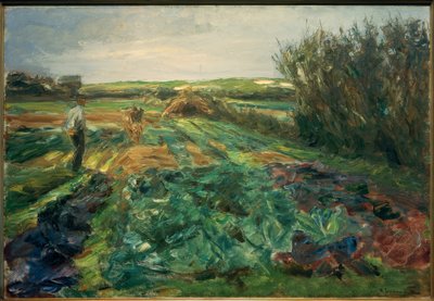 Il campo di cavoli (Campo di cavoli a Noordwijk) da Max Liebermann