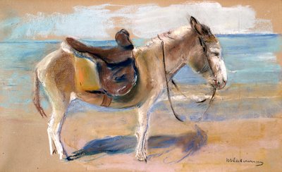 Asino sulla spiaggia di Noordwijk, 1908 da Max Liebermann