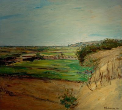 Paesaggio di dune da Max Liebermann