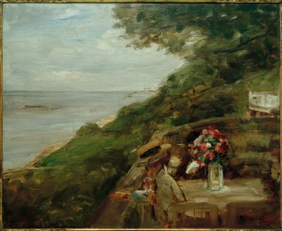 Vista dell