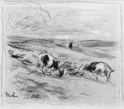 Capre che pascolano nelle dune da Max Liebermann