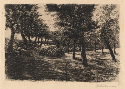 Gregge di pecore sotto gli alberi da Max Liebermann