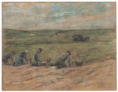 Scavatori di patate a Zandvoort da Max Liebermann