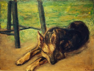 Pastore tedesco dormiente da Max Liebermann