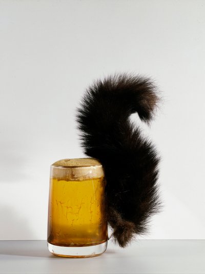 Il bicchiere dello scoiattolo da Max Oppenheimer