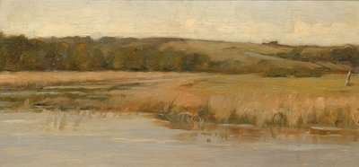 Collina e palude da Max Weyl