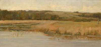 Collina e Palude, fine XIX-inizio XX secolo da Max Weyl