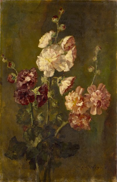 Agrifogli da Max Weyl
