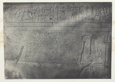 Grande Tempio di Iside a Philoe, iscrizione demotica; Nubia, lastra 76 dall