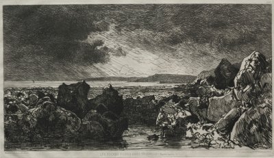 Les roches noires vicino a Trouville da Maxime Lalanne