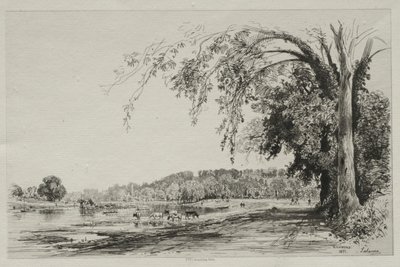 Richmond da Maxime Lalanne