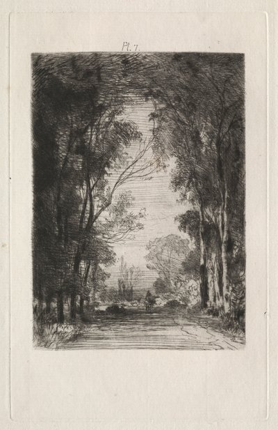 Viaggiatore su una strada in una foresta da Maxime Lalanne