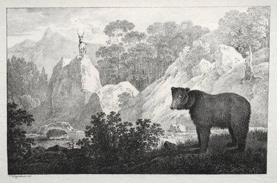 Paesaggio Montuoso con Orso in Primo Piano da Maximilian Josef Wagenbauer