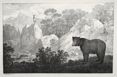Paesaggio Montuoso con Orso in Primo Piano da Maximilian Josef Wagenbauer