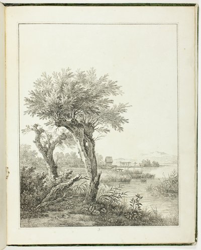 Studi di alberi per artisti paesaggisti principianti da Maximilian Josef Wagenbauer
