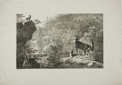 Il cervo e il camoscio da Maximilian Josef Wagenbauer