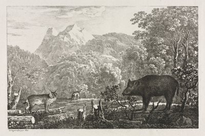 Cinghiale, Gatto Selvatico e Lince da Maximilian Josef Wagenbauer