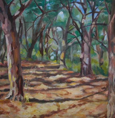 Sentiero nella foresta screziata da Maxine Shore