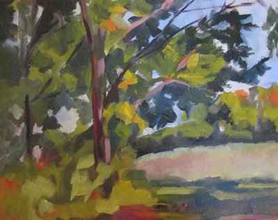 Luce del sole nella foresta verde da Maxine Shore