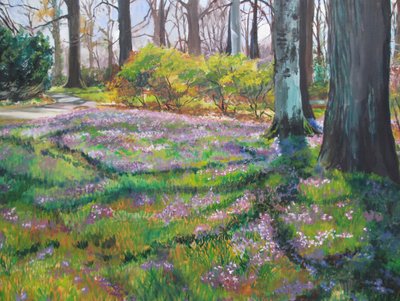 Sentiero del Parco dei Fiori di Primavera da Maxine Shore