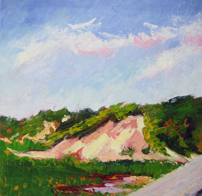 Paesaggio dunare dai colori vivaci da Maxine Shore