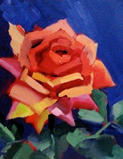 Rosa in piena fioritura da Maxine Shore