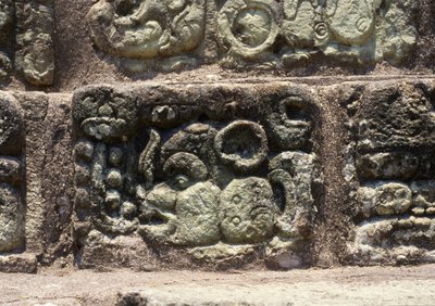 Glifo della città di Copan sulla Scalinata Geroglifica, Periodo Classico Tardo (600-900) c.760 d.C. da Mayan
