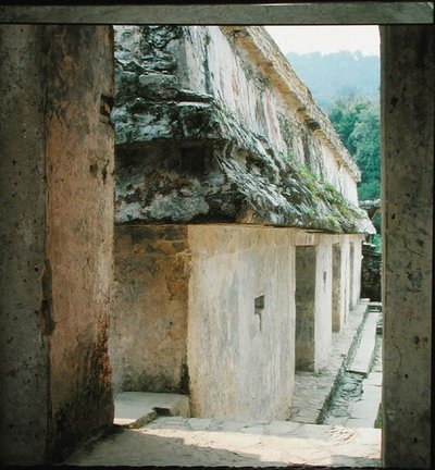 Cortile nel Palazzo, Tardo Classico Maya da Mayan Mayan