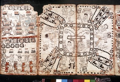 Civiltà Maya: Codice Tro-Cortesiano da Mayan Mayan