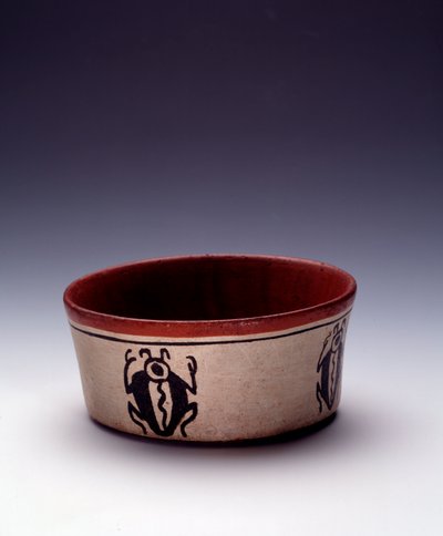 Arte precolombiana, civiltà Maya, periodo classico: coppa in argilla policroma decorata con coleotteri neri. Da Petén, Guatemala da Mayan Mayan